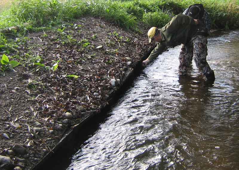 Lunker Structure Depth